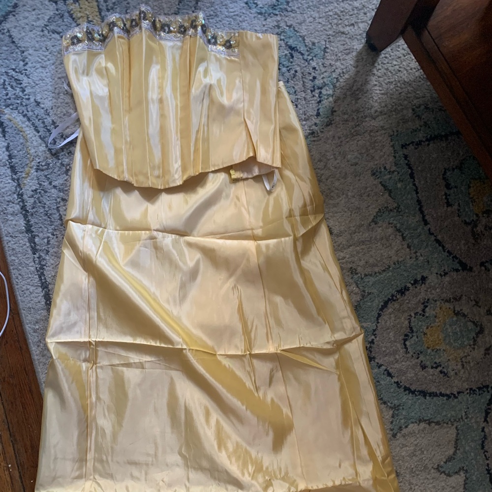 Set of the long skirt and a corset